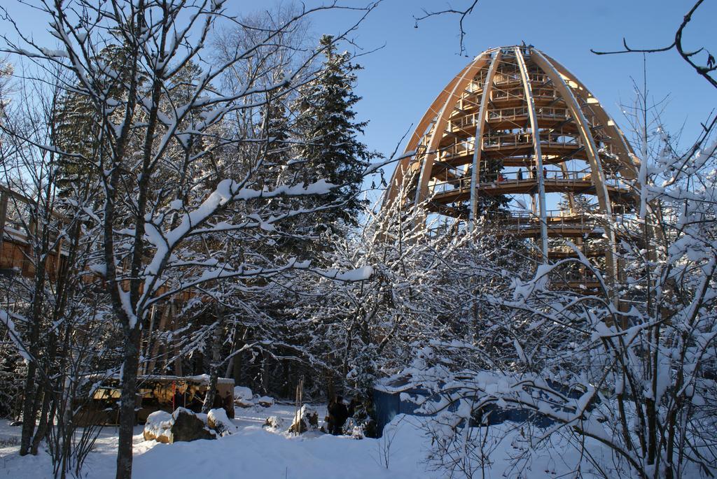 Landhotel Koller Ringelai Dış mekan fotoğraf