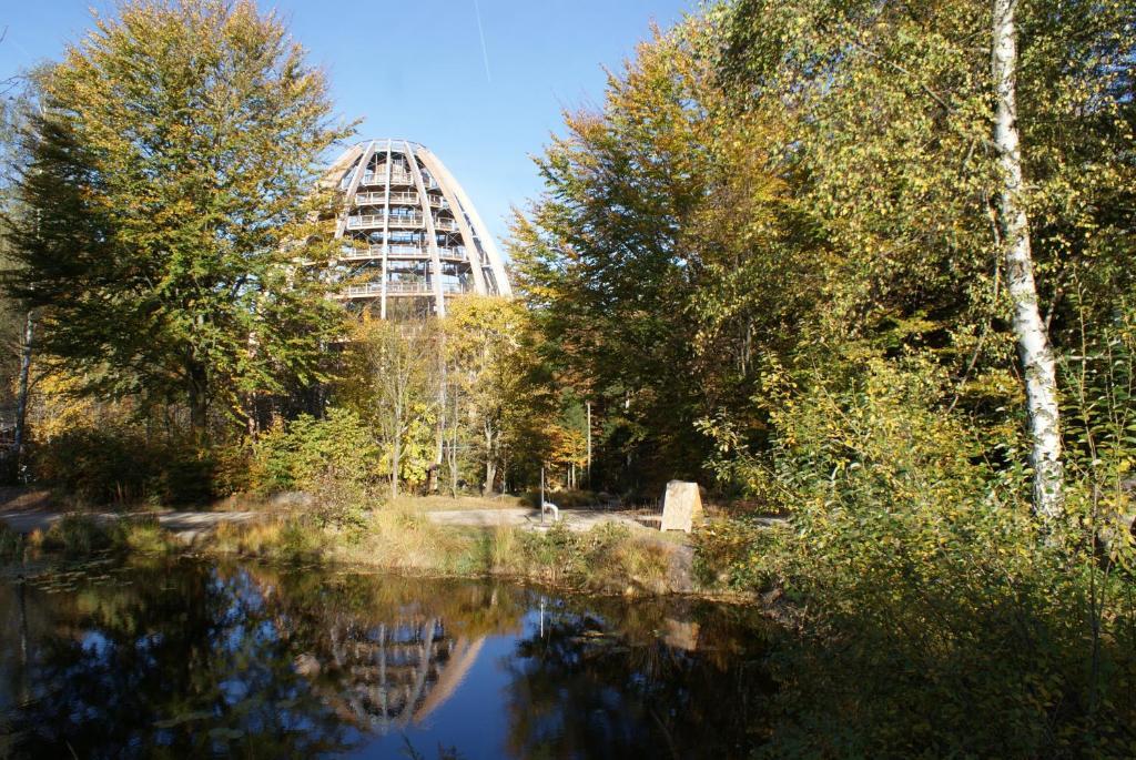 Landhotel Koller Ringelai Dış mekan fotoğraf