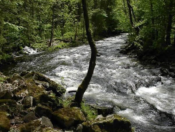 Landhotel Koller Ringelai Dış mekan fotoğraf